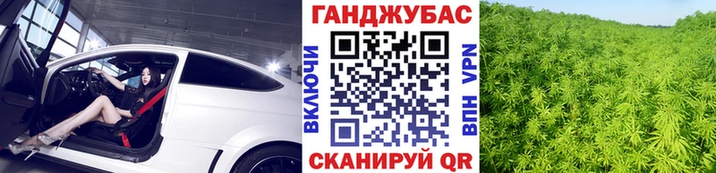 APVP Данков