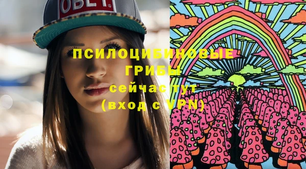 spice Карталы