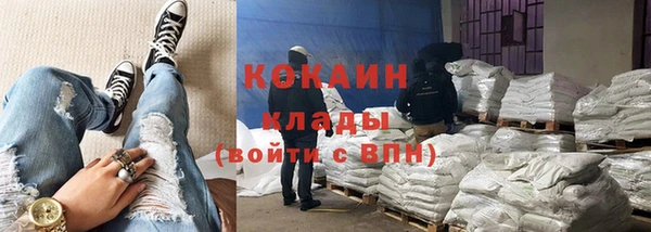 кокс Касимов