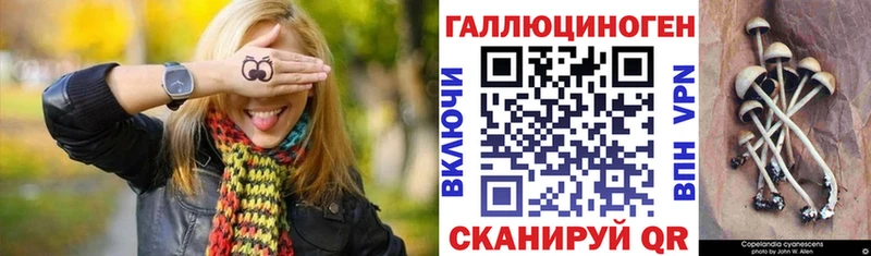 Купить закладки  Данков  Псилоцибиновые грибы мухоморы 